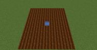 Till the farmland (Image via Minecraft)